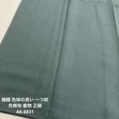 縮緬 紋無し 落ち着いた色味 色無地 着物 正絹 AK-6878 着物・浴衣