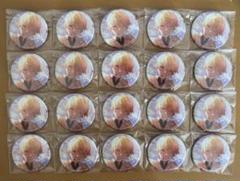天馬司　缶バッジ　あんスタ　コラボ　20個