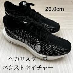 Nike ペガサスターボ ネクストネイチャー 26.0cmのサムネイル
