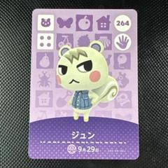 2025年最新】amiiboカード ジュンの人気アイテム - メルカリ