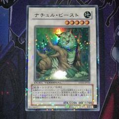2025年最新】ナチュル・ビースト DTの人気アイテム - メルカリ