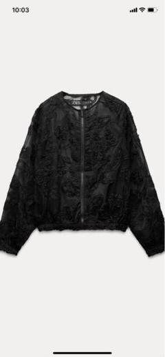 完売品 ZARA スパンコール付きシースルージャケット ブラック　新品未使用品 完売品 ZARA スパンコール付きシースルージャケット ブラック