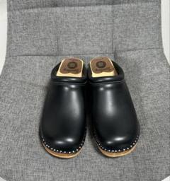 坂口健太郎愛用Needles別注Troentorpトロエントープ サボ