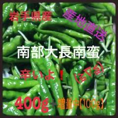 ⭕️岩手県産直送 激辛青 南部大長南蛮 400g➕増量中 送料無料 ネコポス❣️
