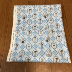 USAコットン FreeSprit カットクロス
