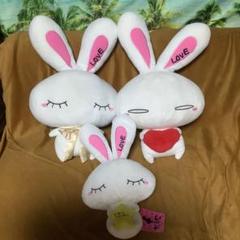 大塚愛　loveちゃんぬいぐるみ　等身大サイズ Amazon.co.jp: 大塚愛 LOVE 3Lハートビッグぬいぐるみ 全2種