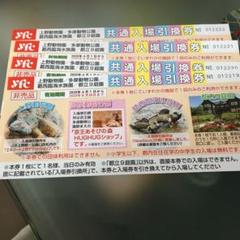 上野動物園 多摩動物公園 共通入場引換券