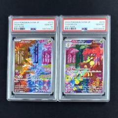 PSA10 連番】シキジカ メブキジカ AR SV5M サイバージャッジ