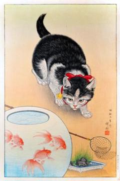 火鉢 金魚鉢 めだか鉢 金彩 花色絵 金魚草文様  アンティーク 時代物 楽天市場】金魚鉢 陶器 おしゃれ 和風 水鉢 メダカ鉢 かわいい