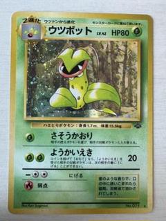 【美品】旧裏　レア4枚　まとめ売り　全ホロ　ウツボットなど　ポケモンカード 2025年最新】ウツボット ポケカの人気アイテム - メルカリ