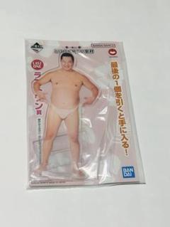 とにかく明るい安村 アルファベットアクリルキーホルダー コンプリートセット とにかく明るい安村 アルファベットアクリルキーホルダー│株式