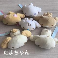 シナモロール　シナモン　10周年　シリアルナンバー　ぬいぐるみ シナモロール シナモン つれてって ぬいぐるみ サンリオ 10周年