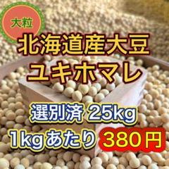 大人気 北海道産 大豆 25kg 匿名配送 自家製 味噌 納豆 豆腐
