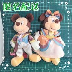 TDS 2008 シーズンオブハート ミッキー ミニー ぬいぐるみバッジ 2025年最新】シーズンオブハート2008の人気アイテム - メルカリ