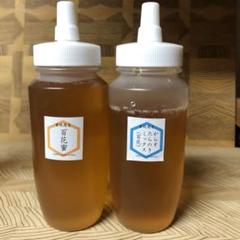 セール【非加熱・生はちみつ】百花蜜1000g&からすたらのき百花1000g(2本 非加熱・生はちみつ】百花蜜150g&からすたらのき百花150g(2本