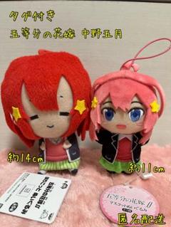 五月ぬいぐるみオーダーページ 中野五月 BIGぬいぐるみ - メルカリ