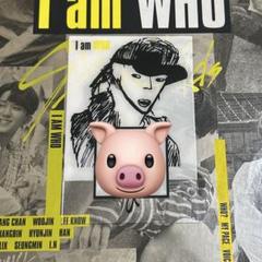 straykids スキズ チャンビン I am not ランダムポケット straykids スキズ チャンビン I am not ランダムポケット