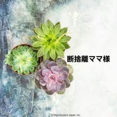 断捨離ママ　完熟梅　白加賀　10kg 断捨離ママ様専用 完熟梅 白加賀 10kg - メルカリ
