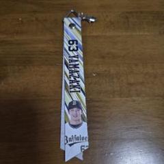 1976年 池辺巌 916 阪神タイガース プロ野球カード | Buyee