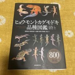 ヒョウモントカゲモドキ品種図鑑、レオパードゲッコーモルフ大全　2冊セット レオパードゲッコーモルフ大全 | ロン・トレンパ―, ヘレン