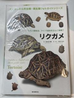 リクガメ (見て楽しめる爬虫類・両生類フォトガイドシリーズ)