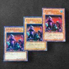2025年最新】同族感染遊戯王の人気アイテム - メルカリ