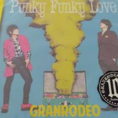 Punky Funky Love