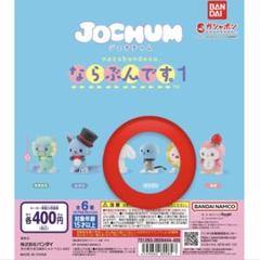 ジェオチャム マイクン セット ジェオチャム JOCHUM マイクンセット - メルカリ