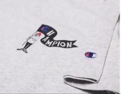 CHAMPION X BEAMS 花井祐介 Tシャツ グレー 限定 1/100