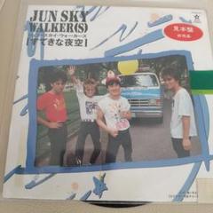 JUN SKY WALKER(S) 稀少レコード　2枚セット ジュンスカイウォーカーズ JUN SKY WALKER(S) アルバム2枚