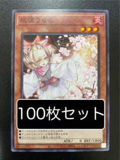 遊戯王　灰流うらら　ノーマル　100枚