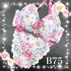 ☆Ravijour☆廃盤☆ラズベリーグレープ☆B70-75☆セット