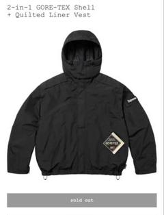 Supreme 25ss 2in1 GORE-TEX Shell + Vestのサムネイル