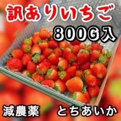 2025年最新】とちあいか 苗の人気アイテム - メルカリ