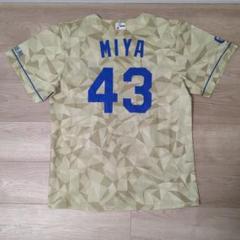 中日ドラゴンズ 昇竜ユニフォーム 数量限定背番号圧着品 田中