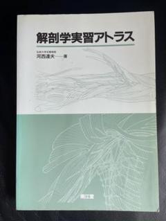 解剖学実習アトラス