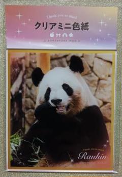 【新品未使用】Thank you PANDA FAMILY クリアミニ色紙 良浜