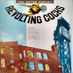 2025年最新】revolting cocksの人気アイテム - メルカリ