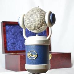 Blue Mouse ラトビア製 最初期個体 出音良好 単一指向性 ケース付属 Blue Mouse ラトビア製 最初期個体 出音良好 単一指向性 ケース
