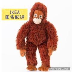 2025年最新】オランウータンぬいぐるみの人気アイテム - メルカリ
