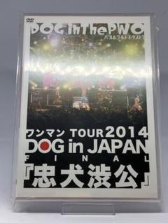 DOG inThePWO 忠犬渋公 2DVD ビジュアル系 V系 定価7480円 DOG inThePWO 忠犬渋公 2DVD ビジュアル系 V系 定価7480円