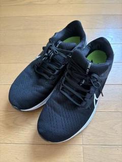 Nike ナイキ　ペガサス38 26.5センチ NIKEエアズームペガサス38レビュー | Soigneur マッサージ鍼灸