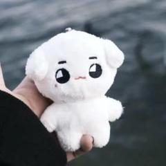 2025年最新】テヨン ぬいぐるみ nctの人気アイテム - メルカリ