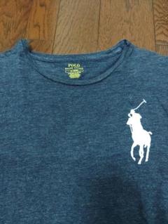 POLO RALPH LAUREN　ビッグポニー　Tシャツ　M　３