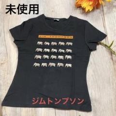 【在庫限り】 2025年最新】ジムトンプソンカットソーの人気アイテム - メルカリ ベリーダンス
