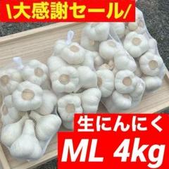 大感謝セール】新物 青森県産 生にんにく ML 4kg 福地ホワイト六