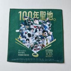 最終値下げ⚠︎甲子園球場開場100周年限定記念品 非売品✩︎⡱ 甲子園球場開場100周年限定記念品 甲子園球場ジオラマ模型