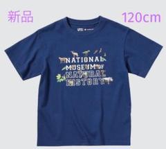 アメリカ自然史博物館HUMAN BIOLOGY & EVOLUTION Tシャツ 2025年最新】自然史博物館 tシャツの人気アイテム - メルカリ