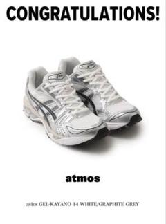asics GEL-KAYANO 14 2025 27.5cm