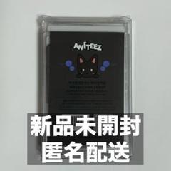 Aniteez in Dreamland Mini figure WOOYOnayng Version 1ea Mini